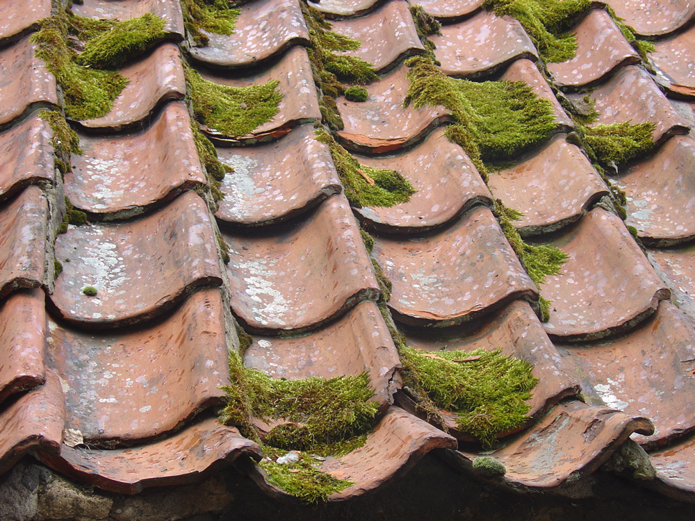 Roof Tile Cleaning Uganda